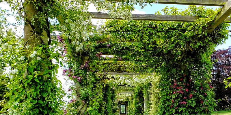 Design Details: Outside Decor for the Fowl