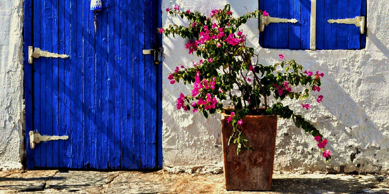 Curb Appeal Begs Your Care