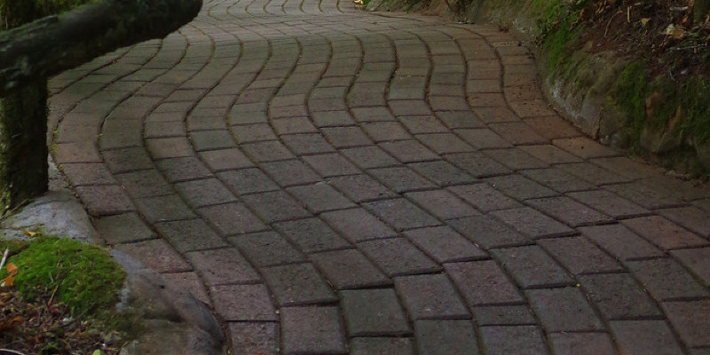 DIY Pathway Puts Landscapes on the Right Path