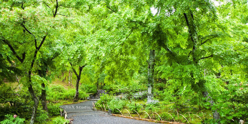 5 Crucial Factors for a Landscape Design Project