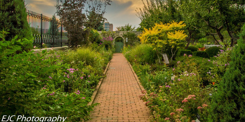 What Kind of Mulch Should be Used for Flower Beds?