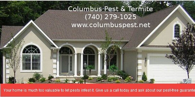 The way to Rid Your Yard of Toads Their Holes
